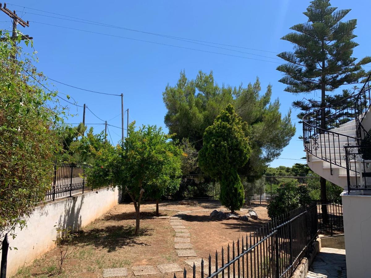 Villa Kavos - Isthmia Corinth Экстерьер фото